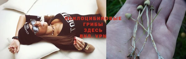 гидропоника Балабаново